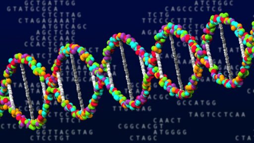 Frammento di DNA (ricostruzione al computer)
