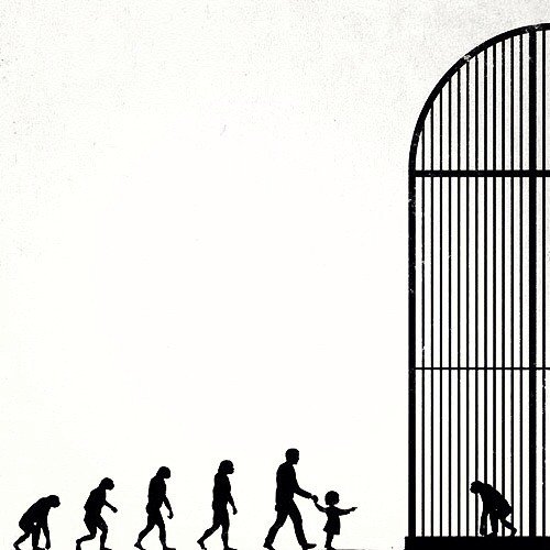 catena dell'evoluzione umana. L'ultimo step rappresenta un padre e una bambina intenti a visitare una scimmia in gabbia.