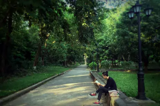 ragazzo legge un libro in un parco
